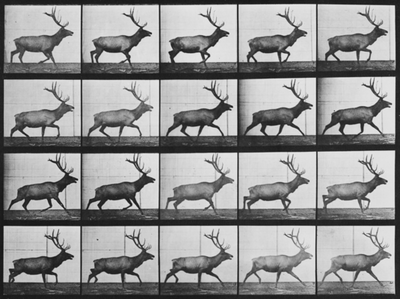 Eadweard-Muybridge-2.jpg