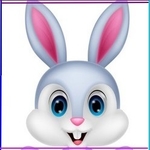 Profile picture of Petits lapins du Breuil